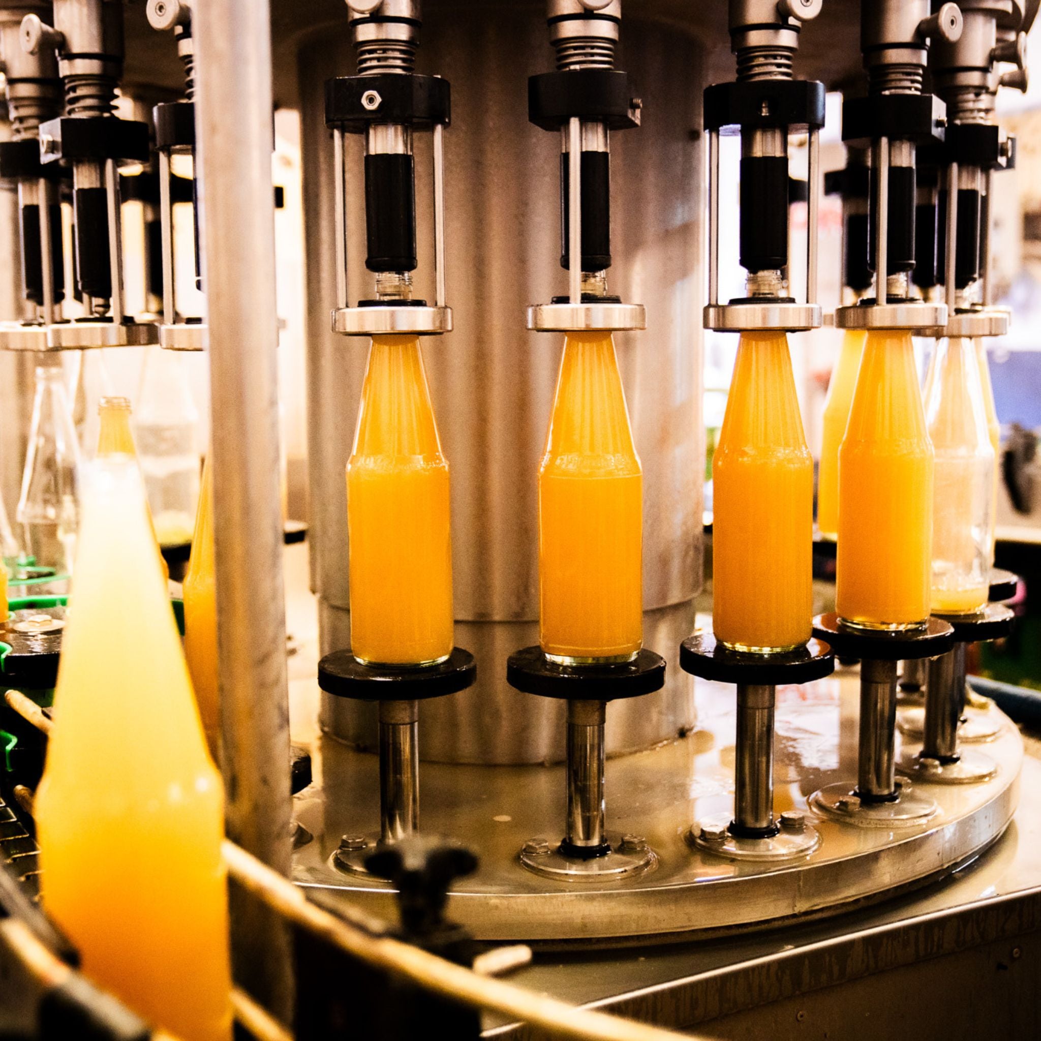 Abfüllung von Apfel Ingwer Punsch in Flaschen in Produktion
