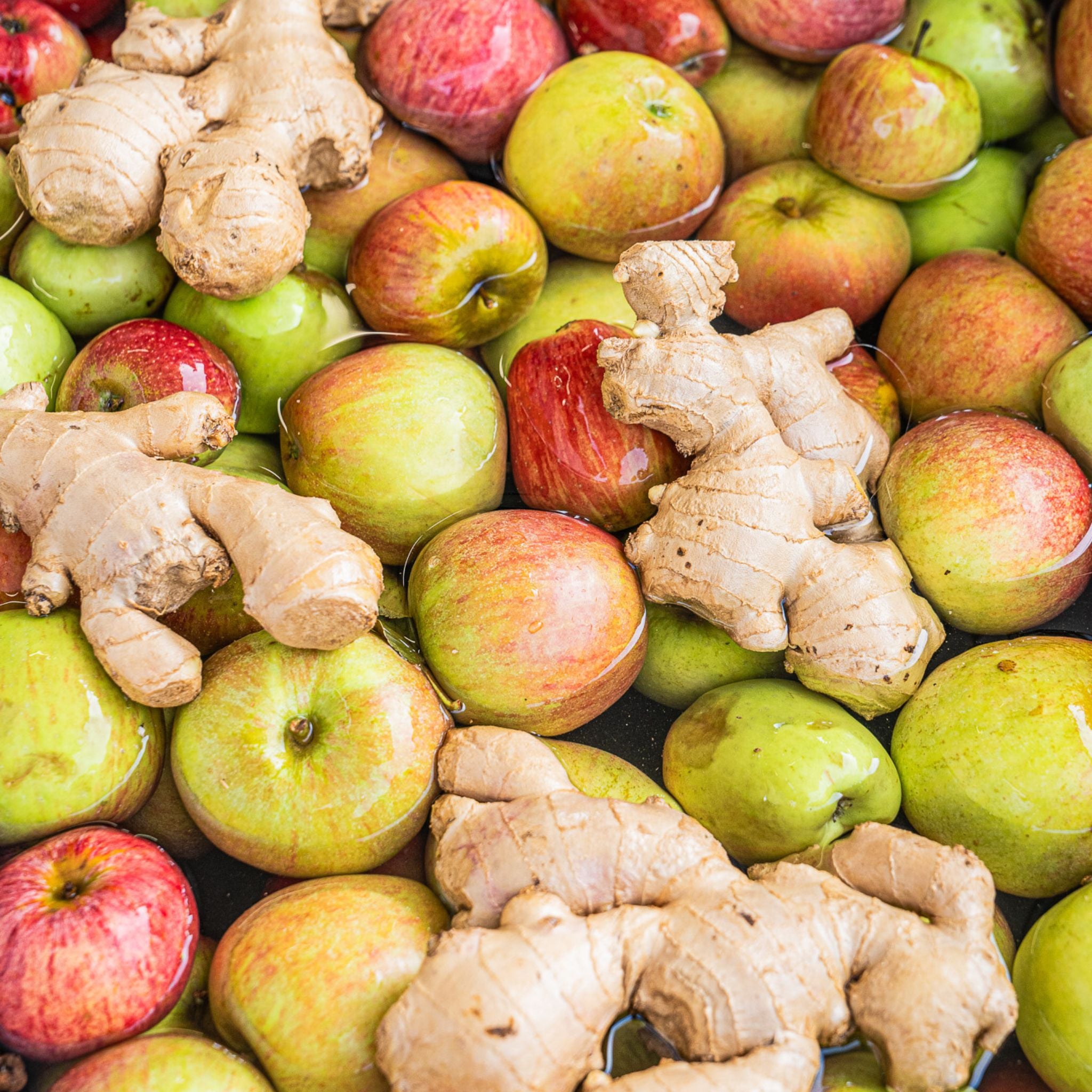 Frische Äpfel und Ingwer als Zutaten für Apfel Ingwer Punsch