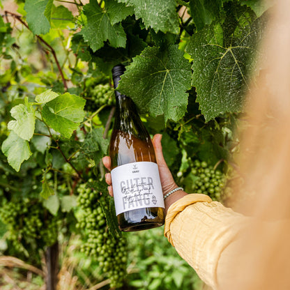 Grauburgunder Guter Fang Grau in der Hand im Weinberg
